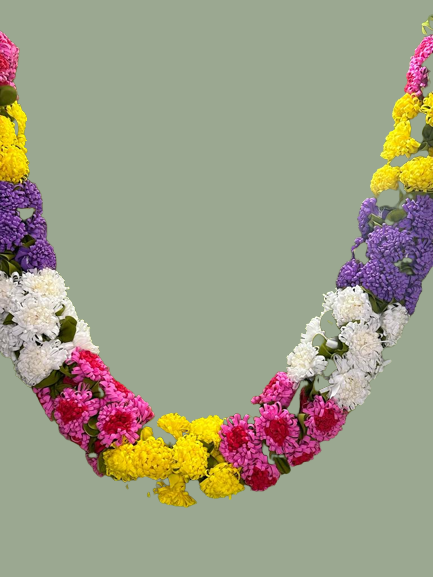 Multi-colored marigold garland or mala