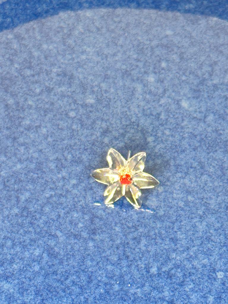 108 silver parijata for pooja